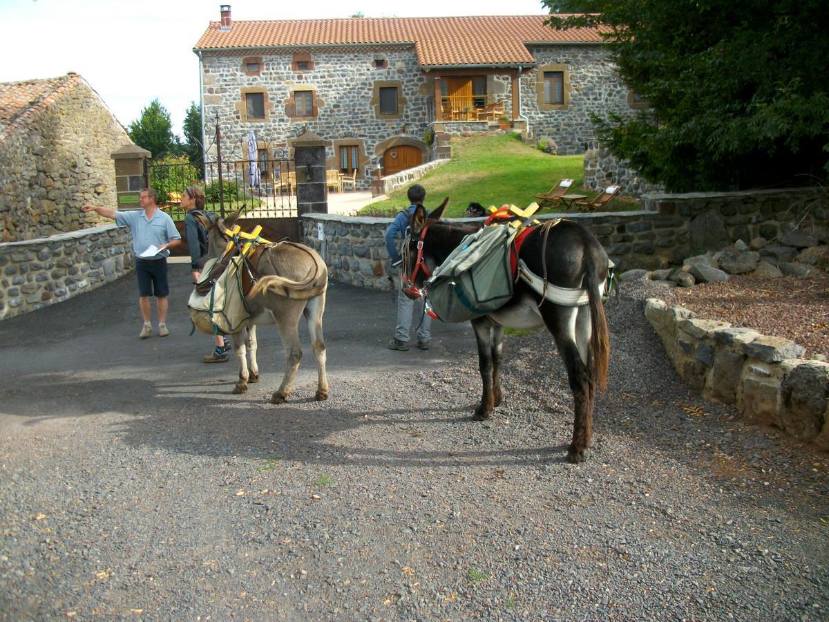 Le clos des pierres rouges Saint-Privat-dʼAllier Extérieur photo